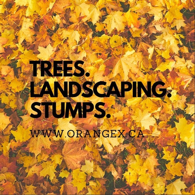 OrangeX-arborist-in-barrie-ontario-simcoe-county-c OrangeX Tree Services