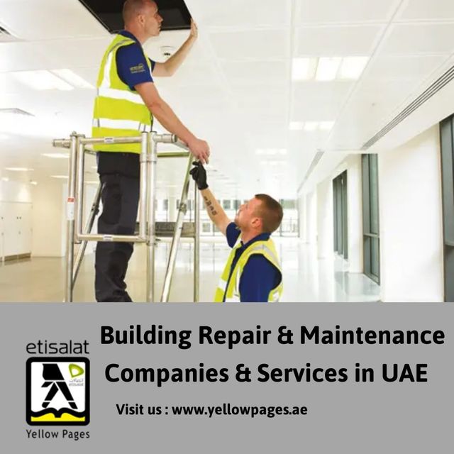Building Repair & Maintenance Companies & Services Picture Box