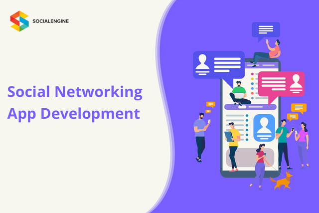 Social Networking App Development Social Network PHP Script