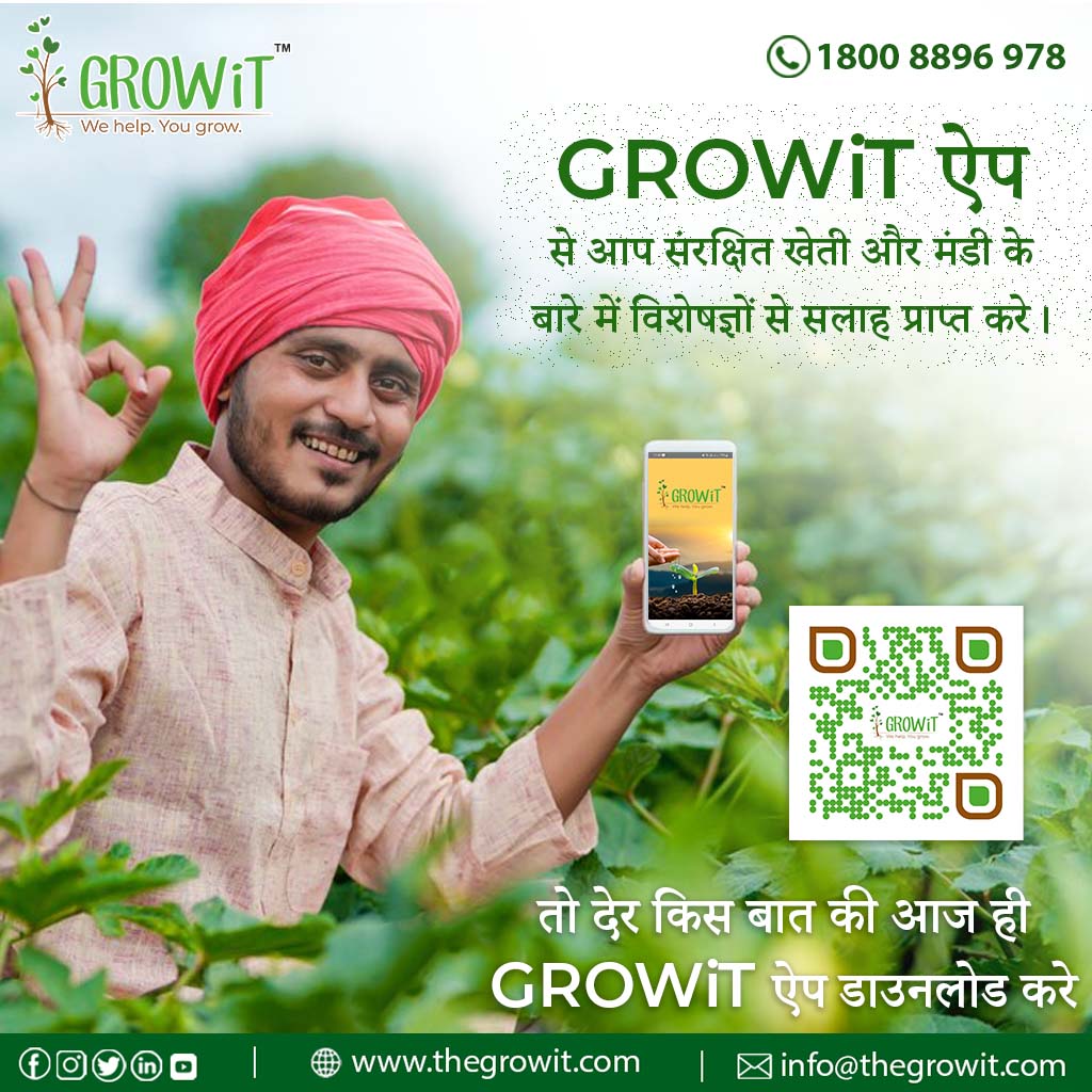 Growit App Picture Box