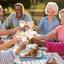 The Best Elderly Care in Se... - thepelicanlanding