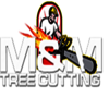 NYC Discount Tree Service & Pruning