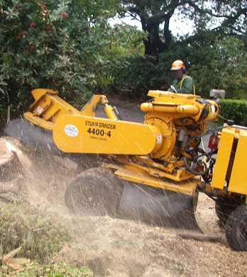 gallery img2 Bronx Tree Cutting Service at Discounted Prices