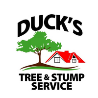 7 (1) Duck's Tree and Stump Service