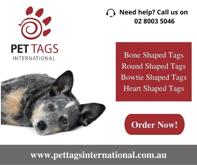 Bone Shaped Tags | Round Shaped Tags | Pet Tags In Picture Box