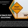 Ultimate Pest Solutions - Ultimate Pest Solutions