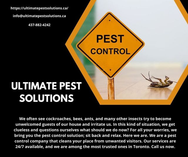 Ultimate Pest Solutions Ultimate Pest Solutions