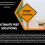 Ultimate Pest Solutions - Ultimate Pest Solutions