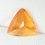 199-FO-B - 01-03-2022