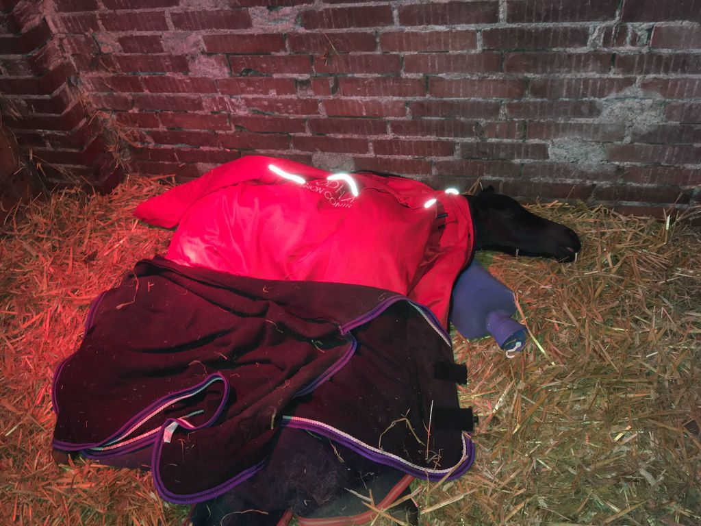 WhatsApp Image 2022-06-02 at 10.33.41 AM - 