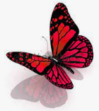 Hypnotherapy Center Picture Box