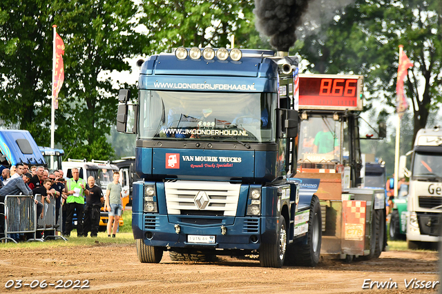 03-06-2022 Nederhemert 038-BorderMaker 03-06-2022 Nederhemert