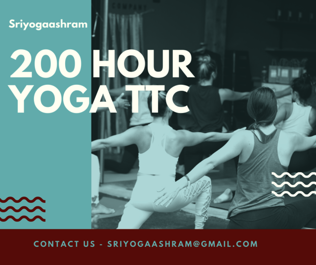 200-hours-yoga-ttc Picture Box