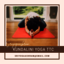 kundalini-yoga-ttc - Picture Box