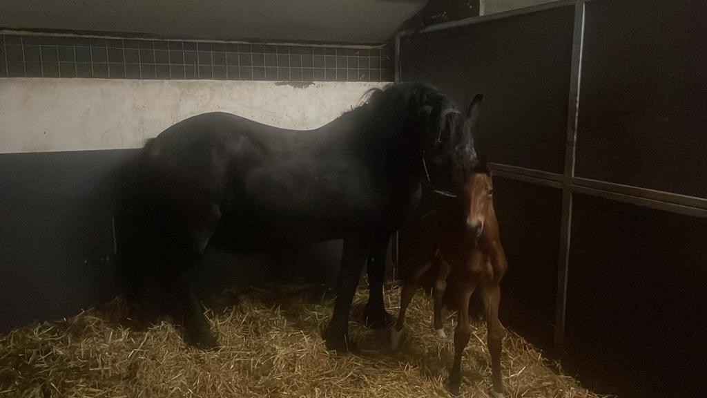 WhatsApp Image 2022-06-04 at 2.23.54 AM - 