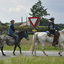  DSC6404 - Eper Paardenvierdaagse onderweg