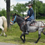  DSC6406 - Eper Paardenvierdaagse onderweg