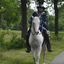  DSC6409 - Eper Paardenvierdaagse onderweg