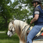  DSC6412 - Eper Paardenvierdaagse onderweg