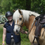  DSC6413 - Eper Paardenvierdaagse onderweg