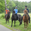  DSC6429 - Eper Paardenvierdaagse onderweg