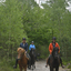  DSC6439 - Eper Paardenvierdaagse onderweg