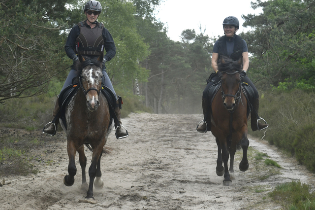  DSC6456 Eper Paardenvierdaagse onderweg