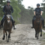  DSC6456 - Eper Paardenvierdaagse onderweg