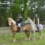  DSC6493 - Eper Paardenvierdaagse onderweg