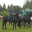  DSC6499 - Eper Paardenvierdaagse onderweg