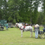  DSC6514 - Eper Paardenvierdaagse onderweg