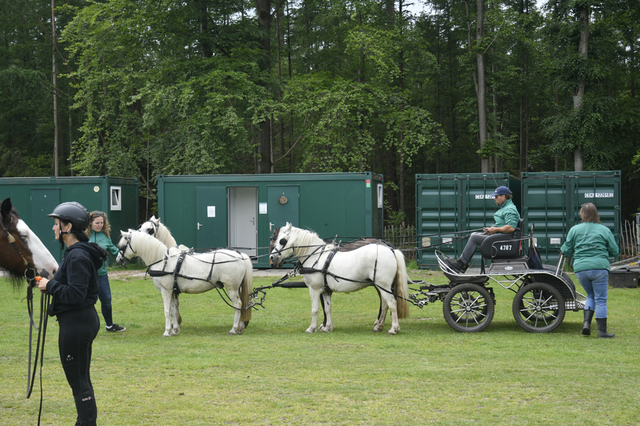  DSC6517 Eper Paardenvierdaagse onderweg