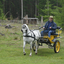  DSC6540 - Eper Paardenvierdaagse onderweg