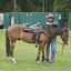  DSC6545 - Eper Paardenvierdaagse onderweg