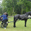  DSC6550 - Eper Paardenvierdaagse onderweg