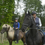  DSC6558 - Eper Paardenvierdaagse onderweg