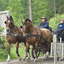  DSC6570 - Eper Paardenvierdaagse onderweg