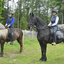  DSC6572 - Eper Paardenvierdaagse onderweg