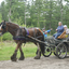  DSC6579 - Eper Paardenvierdaagse onderweg