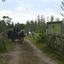  DSC6584 - Eper Paardenvierdaagse onderweg