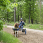  DSC6593 - Eper Paardenvierdaagse onderweg