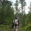  DSC6648 - Eper Paardenvierdaagse onderweg