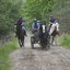  DSC6685 - Eper Paardenvierdaagse onderweg