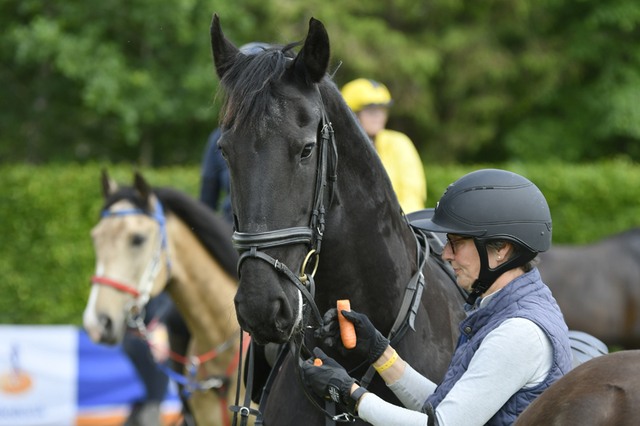  DSC6708 Eper Paardenvierdaagse onderweg