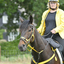  DSC6711 - Eper Paardenvierdaagse onderweg