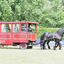  DSC6714 - Eper Paardenvierdaagse onderweg