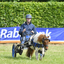  DSC6721 - Eper Paardenvierdaagse onderweg