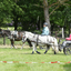  DSC6728 - Eper Paardenvierdaagse onderweg