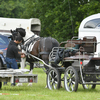  DSC6737 - Eper Paardenvierdaagse onde...