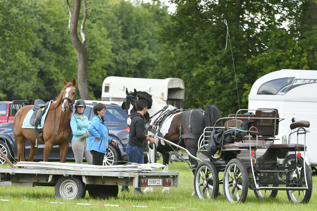  DSC6738 Eper Paardenvierdaagse onderweg